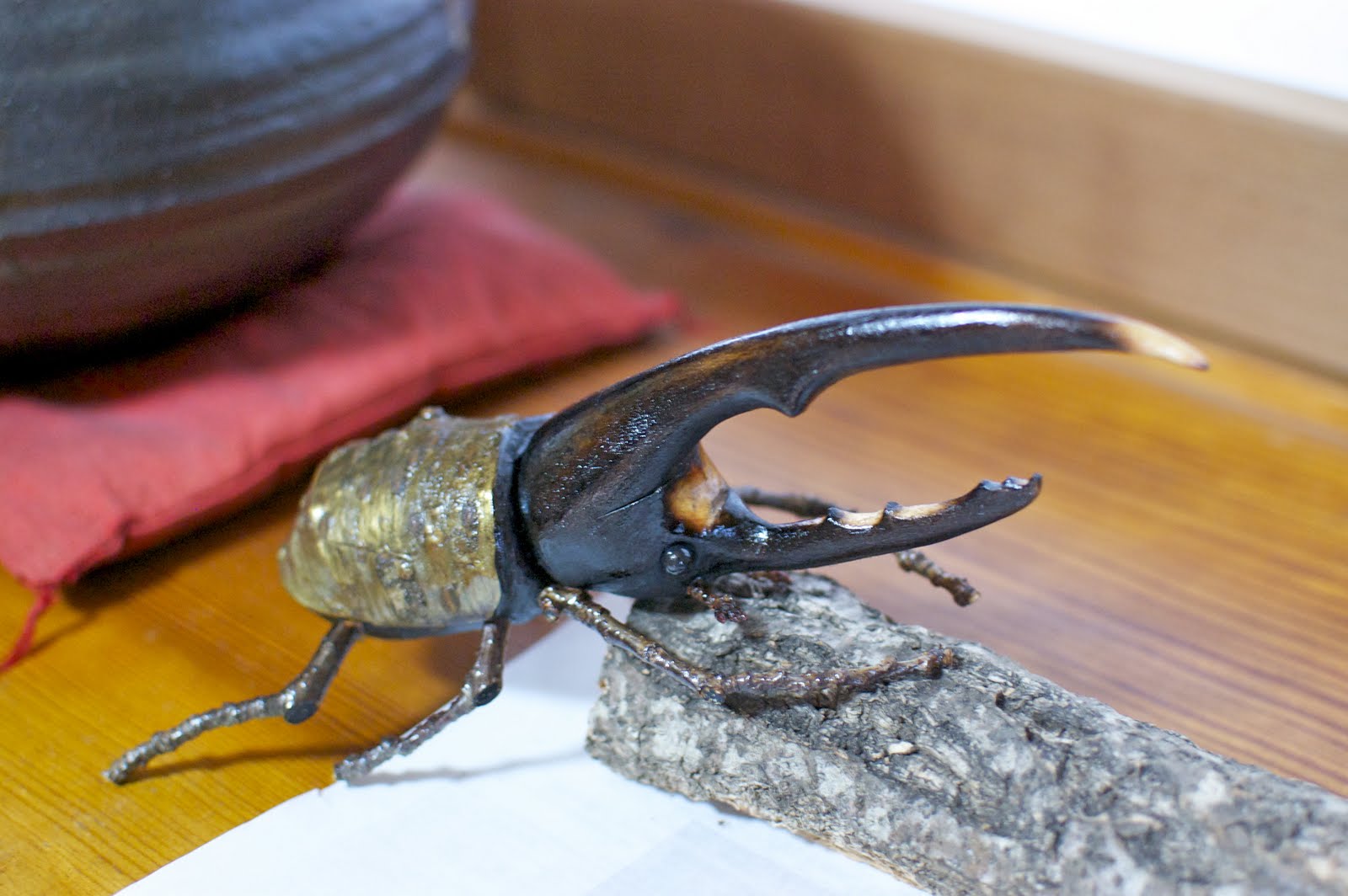 ヘラクレスオオカブト Honobono Sanのblog ヘラクレスオオカブト Honobono Sanのblog
