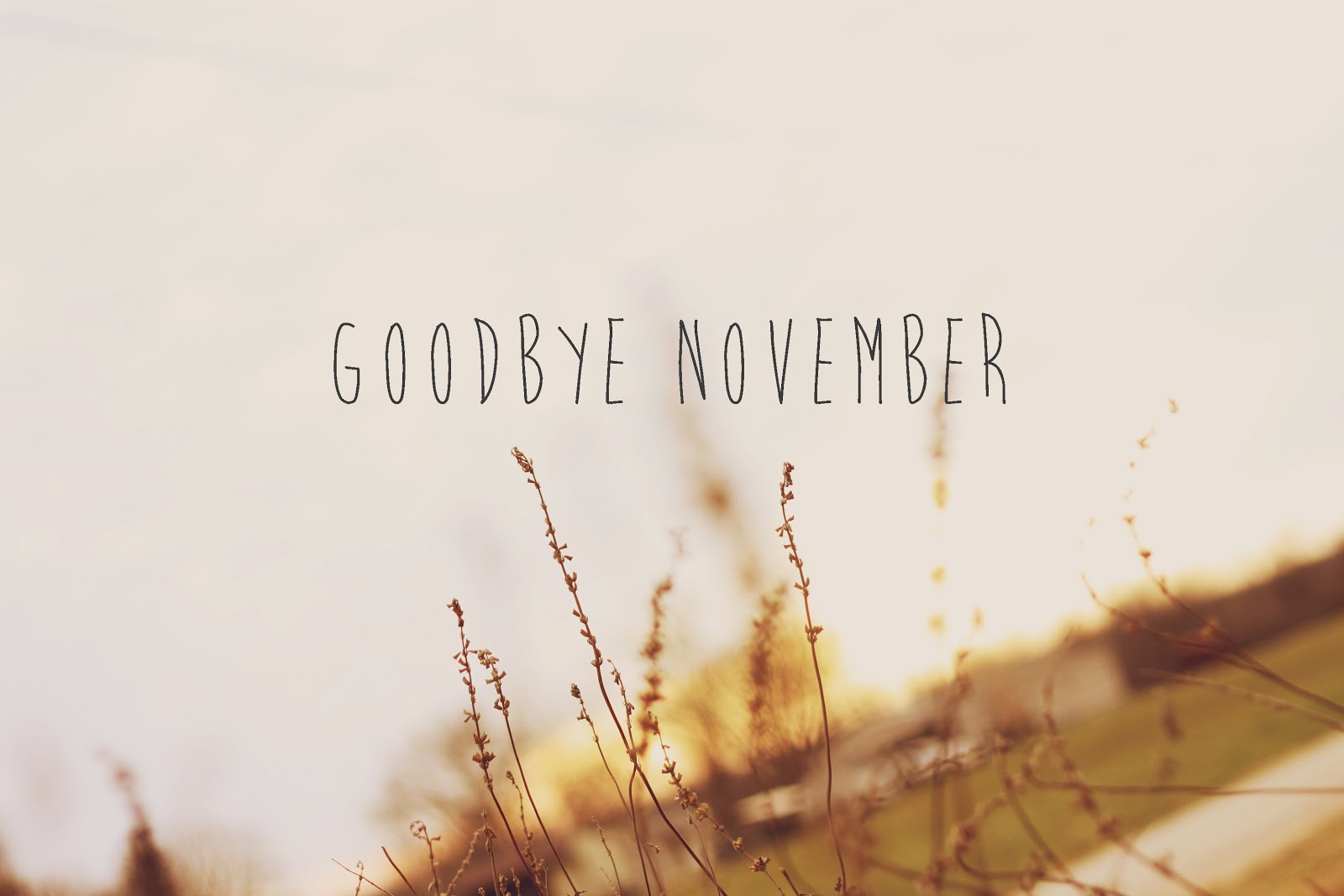 oh! so lovely: November 2012