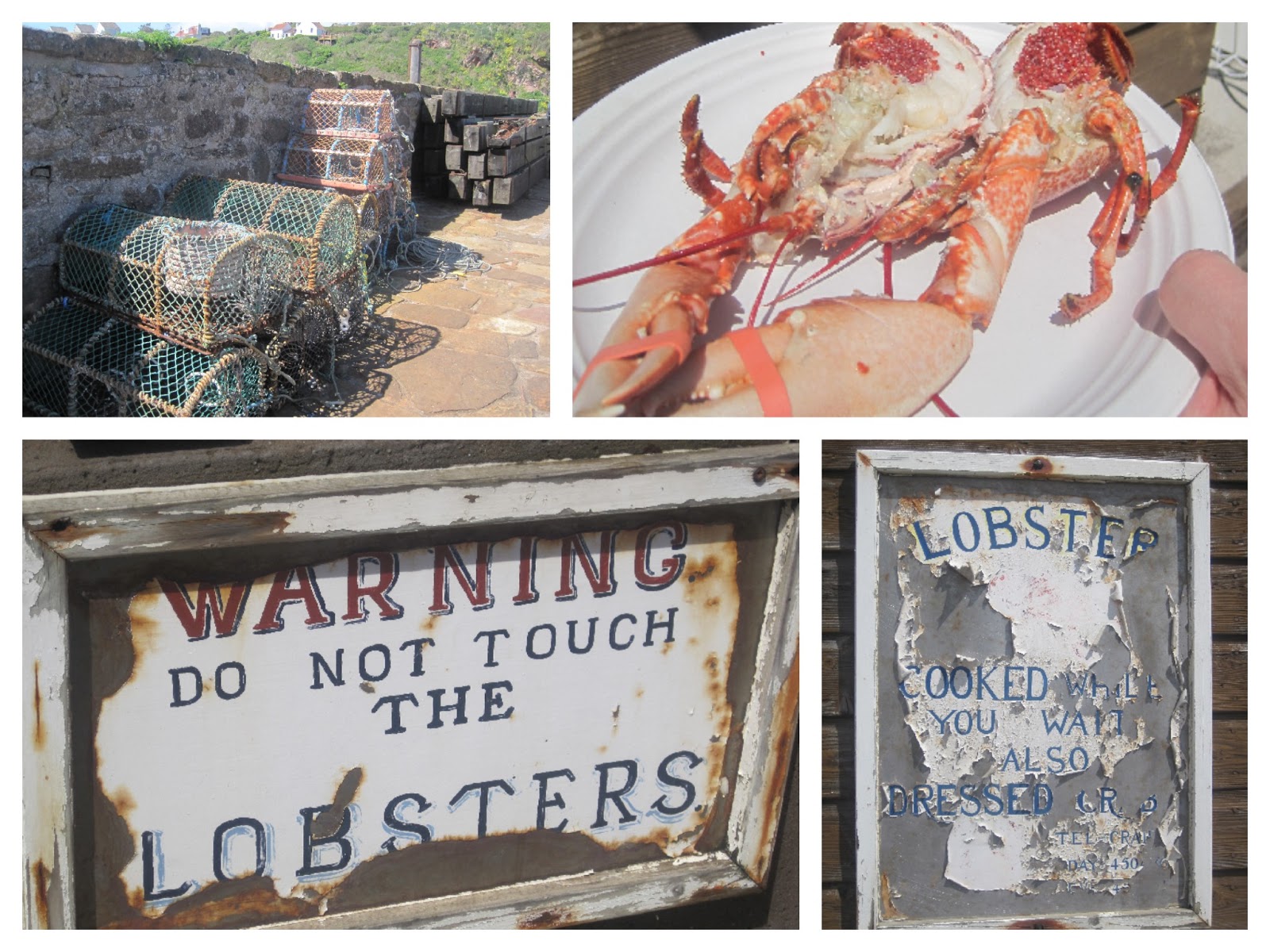 Crail Food Festival Sunshine, Seafood & Sandcastles Foodie Quine