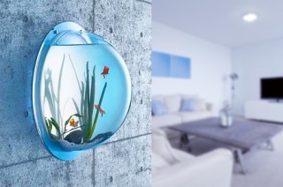 tugce nin kaleminden ilham veren akvaryum dekorasyon fikirleri