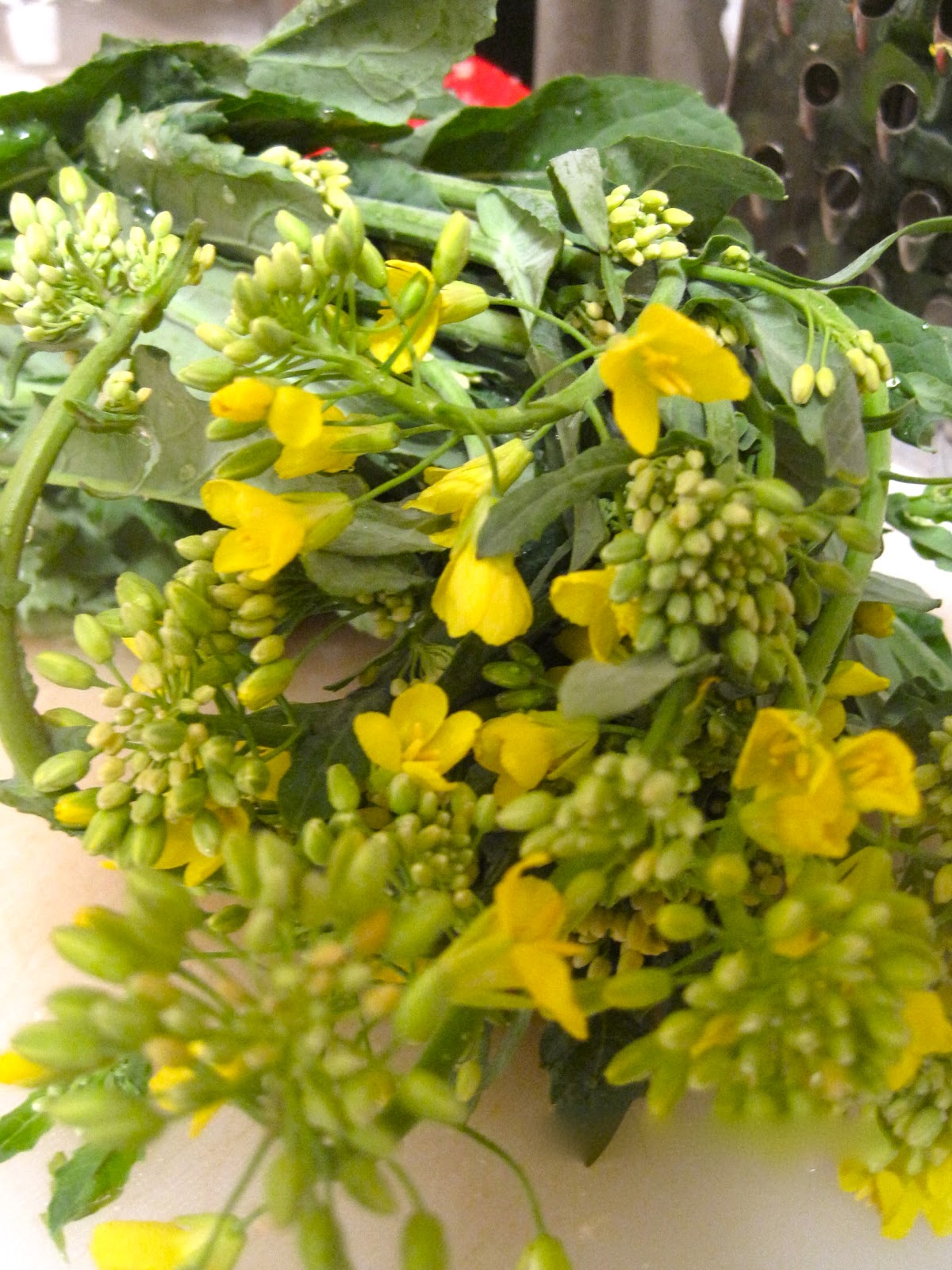 Kvell in the Kitchen Sichuan Tofu and Broccoli Rabe with Garlic Sauce