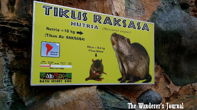 The Wanderer's Journal: Checking Out the Batu Secret Zoo, Malang