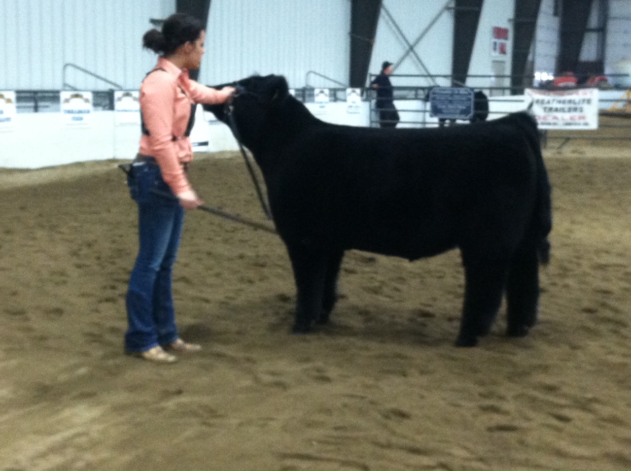 Trausch Farms Cattle Battle Ohio