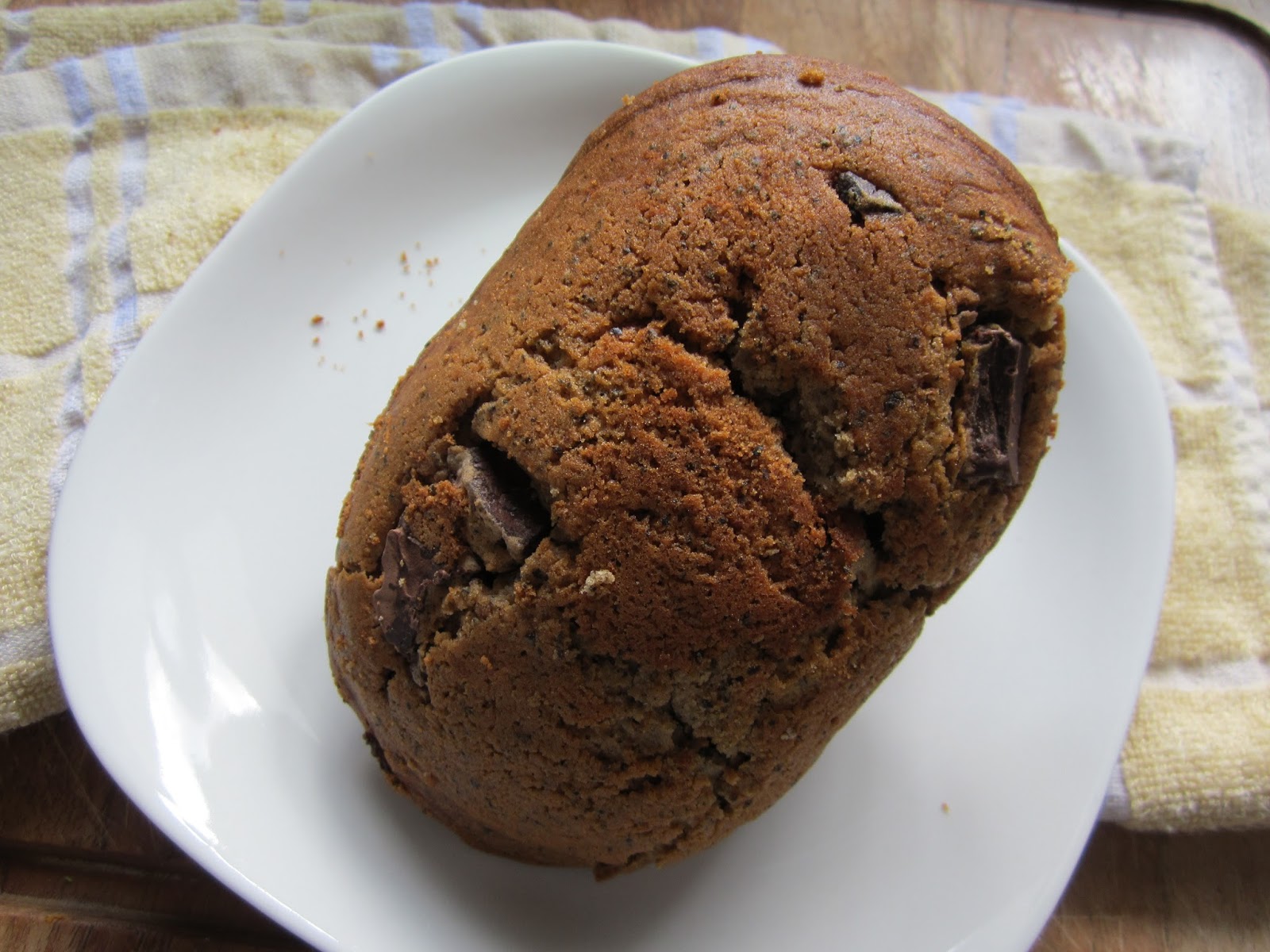 Snacking Squirrel The Biggest Muffin Top