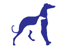 Southeastern Greyhound Adoption