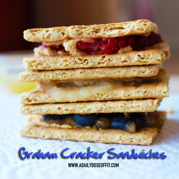 A Daily Dose of Fit Graham Cracker Sandwiches