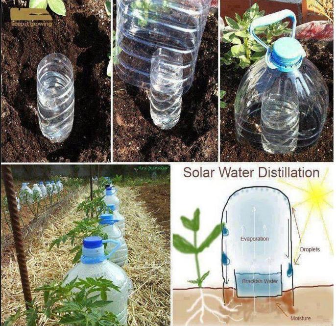 FANS OF NATURE Drip Bottle Irrigation