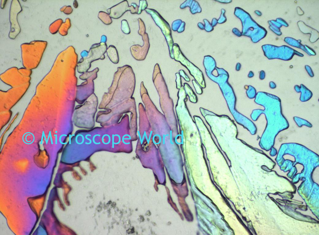 Microscope World Blog Science Project Growing Crystals for Microscope