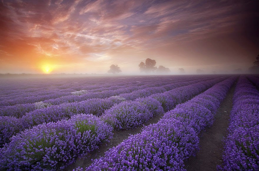 22 Unbelievable Places In The World To Visit That Actually Exist