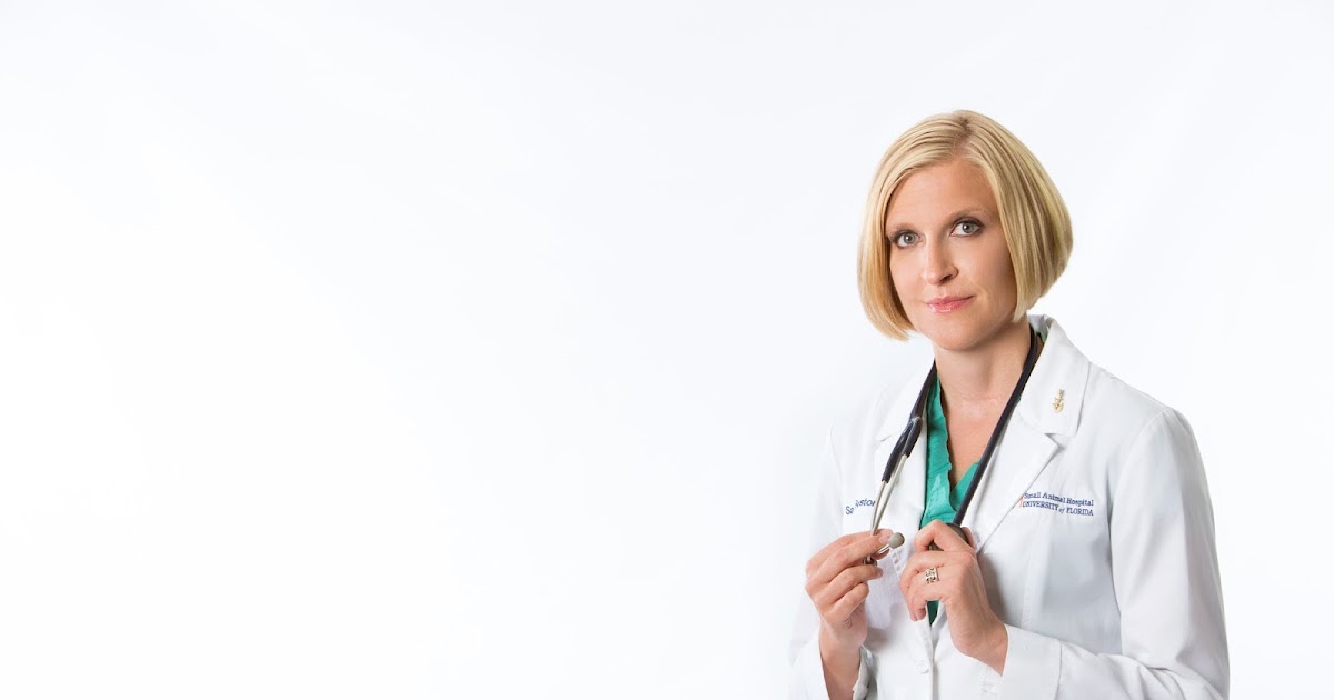 Small Animal Talk Interview with Dr Sarah Boston veterinary oncology