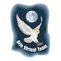 Orio Virtual Team