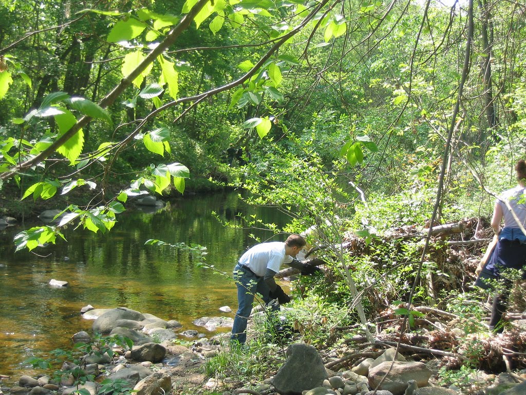 pangangalaga sa ating kapaligiran Ang epekto nito ay bumaho at pumangit ang magagandang anyong tubig, namatay ang mga naninirahan dito, nawalan tayo ng mapagkukunan ng malinis na inumin at pagkain at nagkakasakit tayo dahil sa dumi ng tubig. pangangalaga sa ating kapaligiran Ang epekto nito ay bumaho at pumangit ang magagandang anyong tubig, namatay ang mga naninirahan dito, nawalan tayo ng mapagkukunan ng malinis na inumin at pagkain at nagkakasakit tayo dahil sa dumi ng tubig.