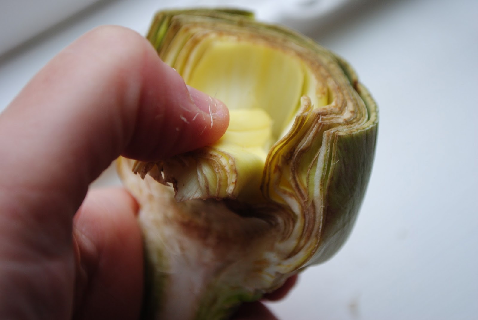 Artichokes Oreganata The Perfect Spring Appetizer The Enchanted Spoon