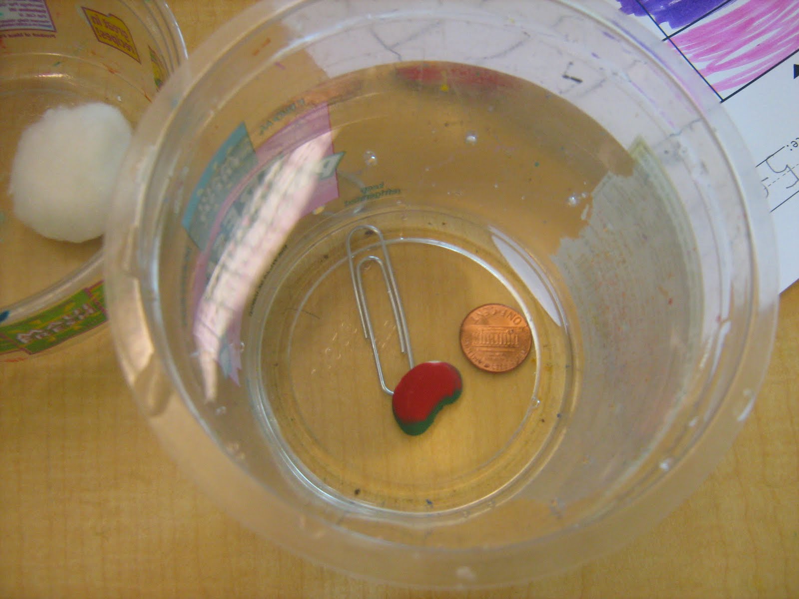 Beanie's Blog ) Does it SINK or FLOAT? Let's find out....