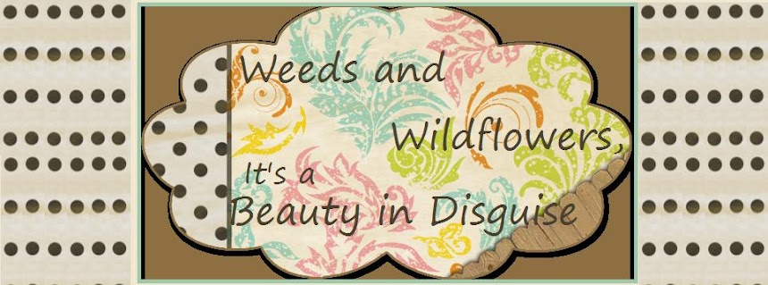 Weeds and Wildflowers