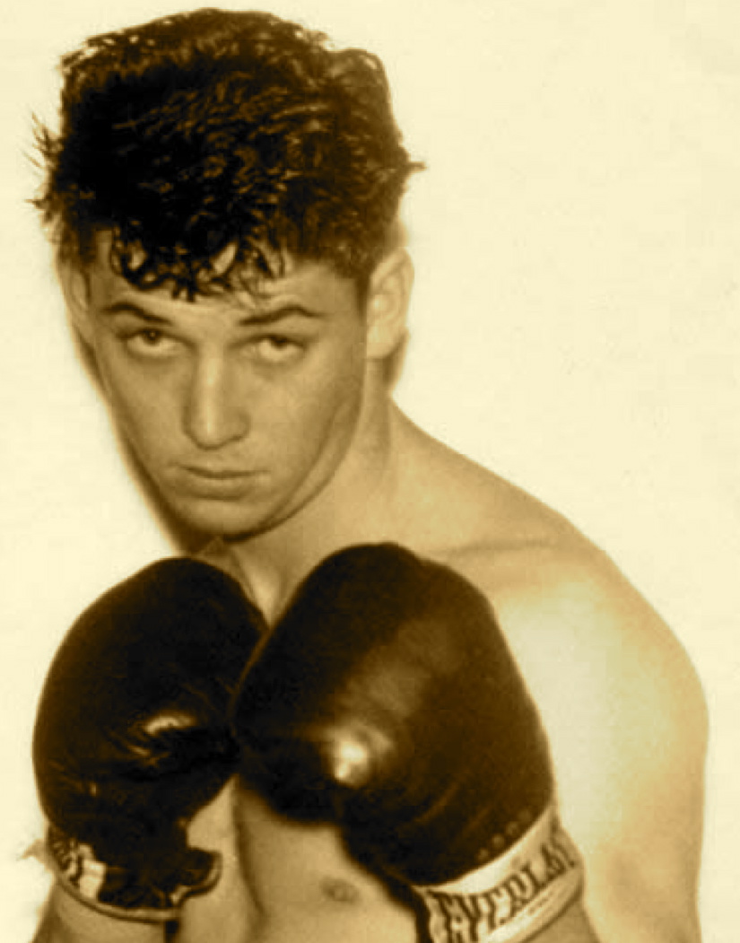 Honey bee - Wikipedia