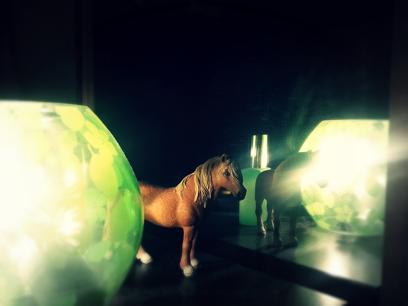 schleich dartmoor pony stallion