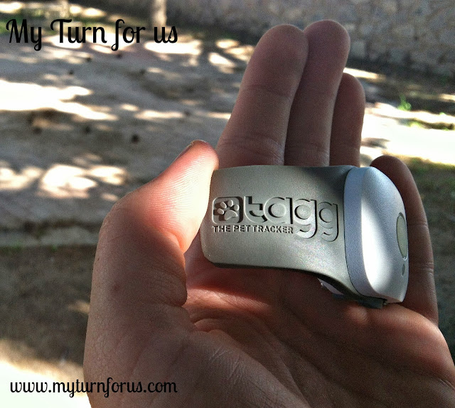 tagg coupon code i9 sports coupon