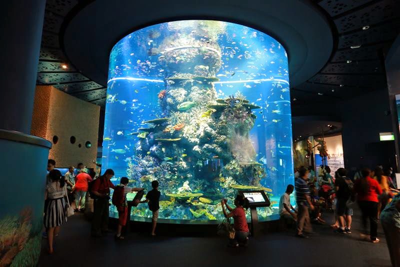 SEA Aquarium, The World's Largest Aquarium Sentosa, Singapore Never