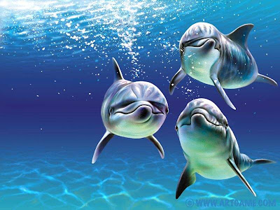 Imagenes y Fotos de delfines... Delfines Imagenes y Fotos de delfines...