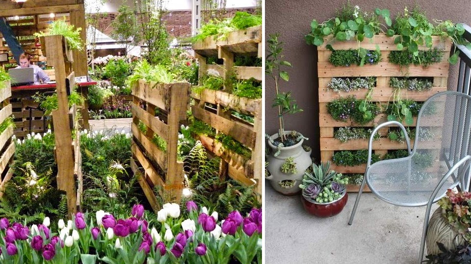 horta jardim na varanda:Uma vaca na varanda: Horta vertical em paletes? Muito visto. Vamos horta jardim na varanda:Uma vaca na varanda: Horta vertical em paletes? Muito visto. Vamos