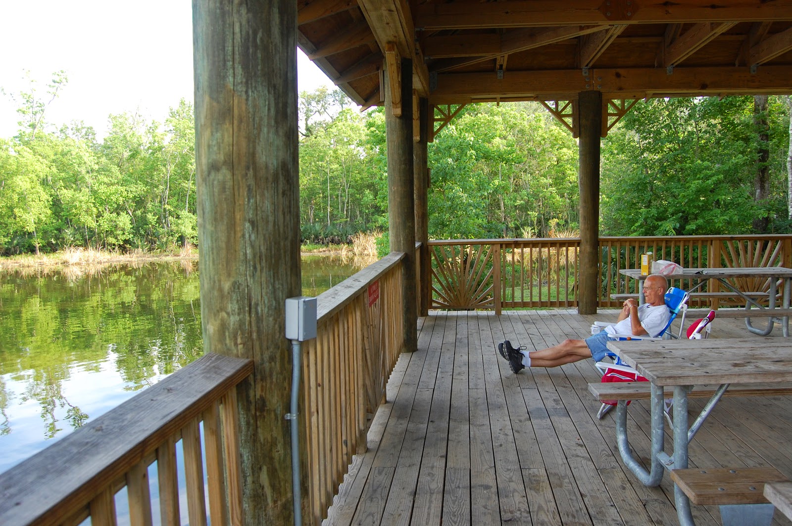 Tips for New RVers Catchin' the Dream Palmetto Island State Park