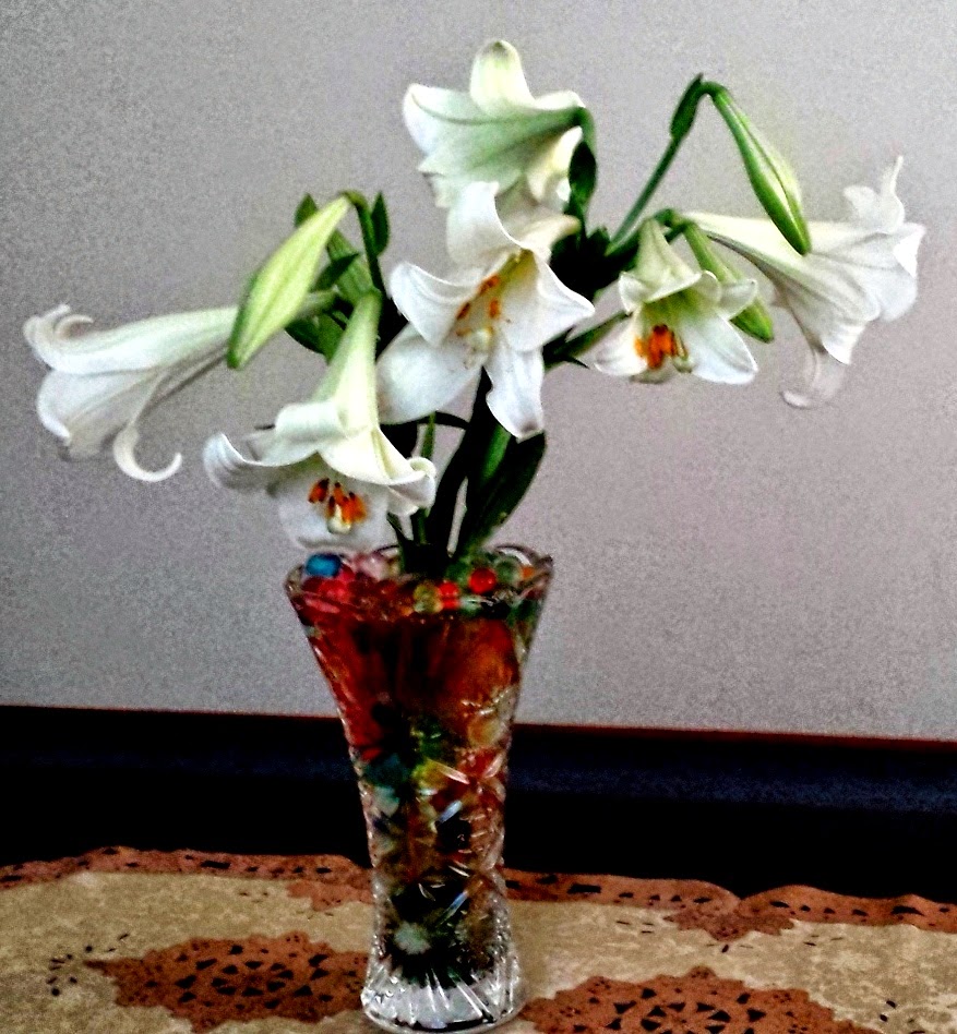 How to Grow And Care Lilies