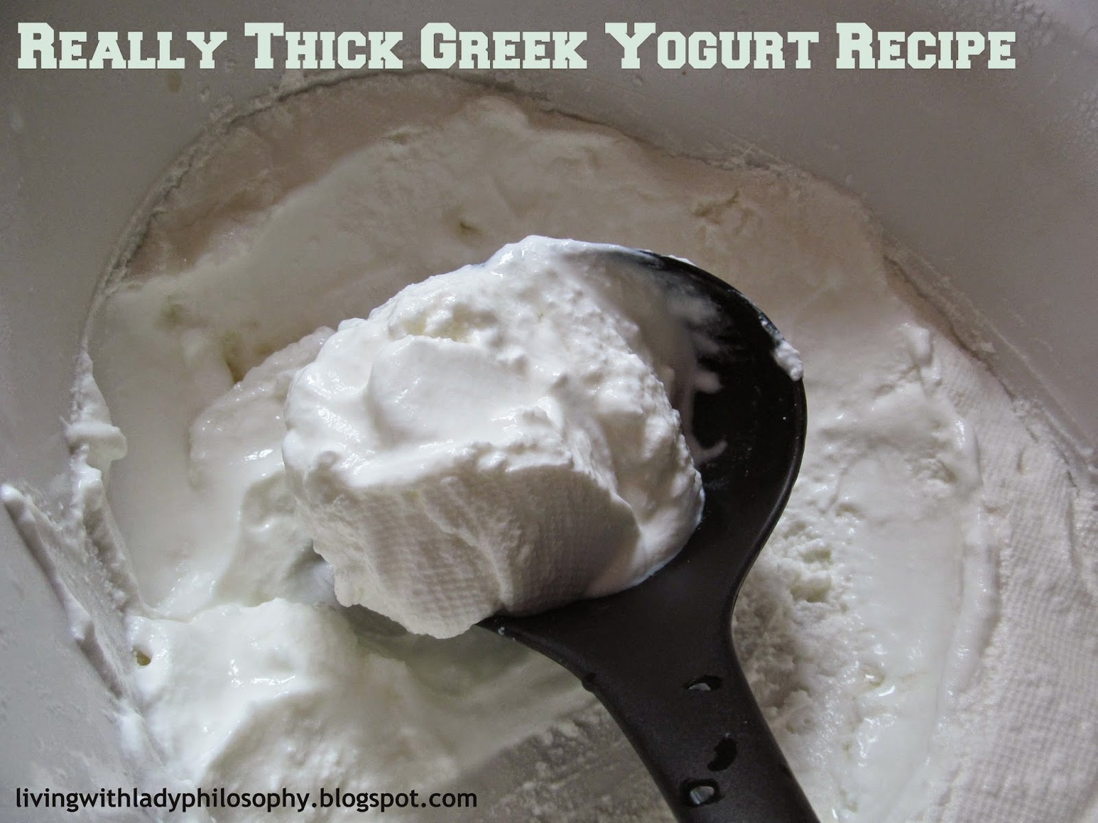 Living With Lady Philosophy Recipe Really Thick Greek Yogurt in a