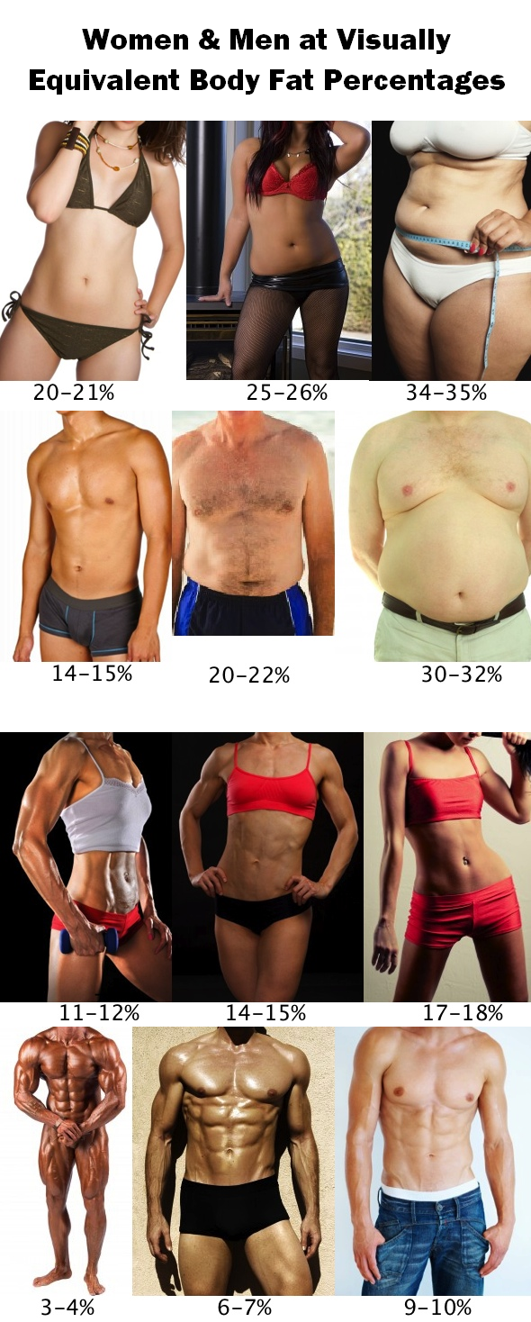 pep up talk egészség sport buzdító blog testzsír százalék body fat percentage chart for men