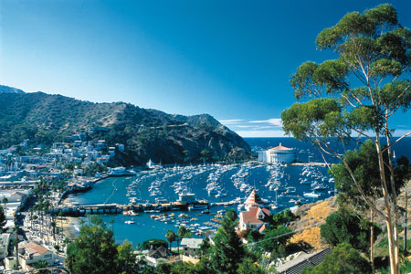 Island Catalina