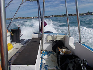 Our boat "Great White" heading to sea with its powerful engines.