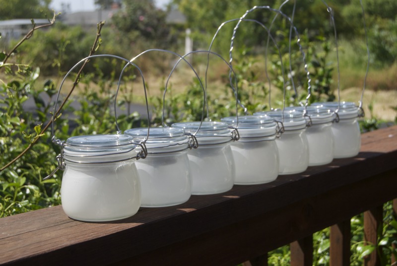 unschool plus how to make a sun jar