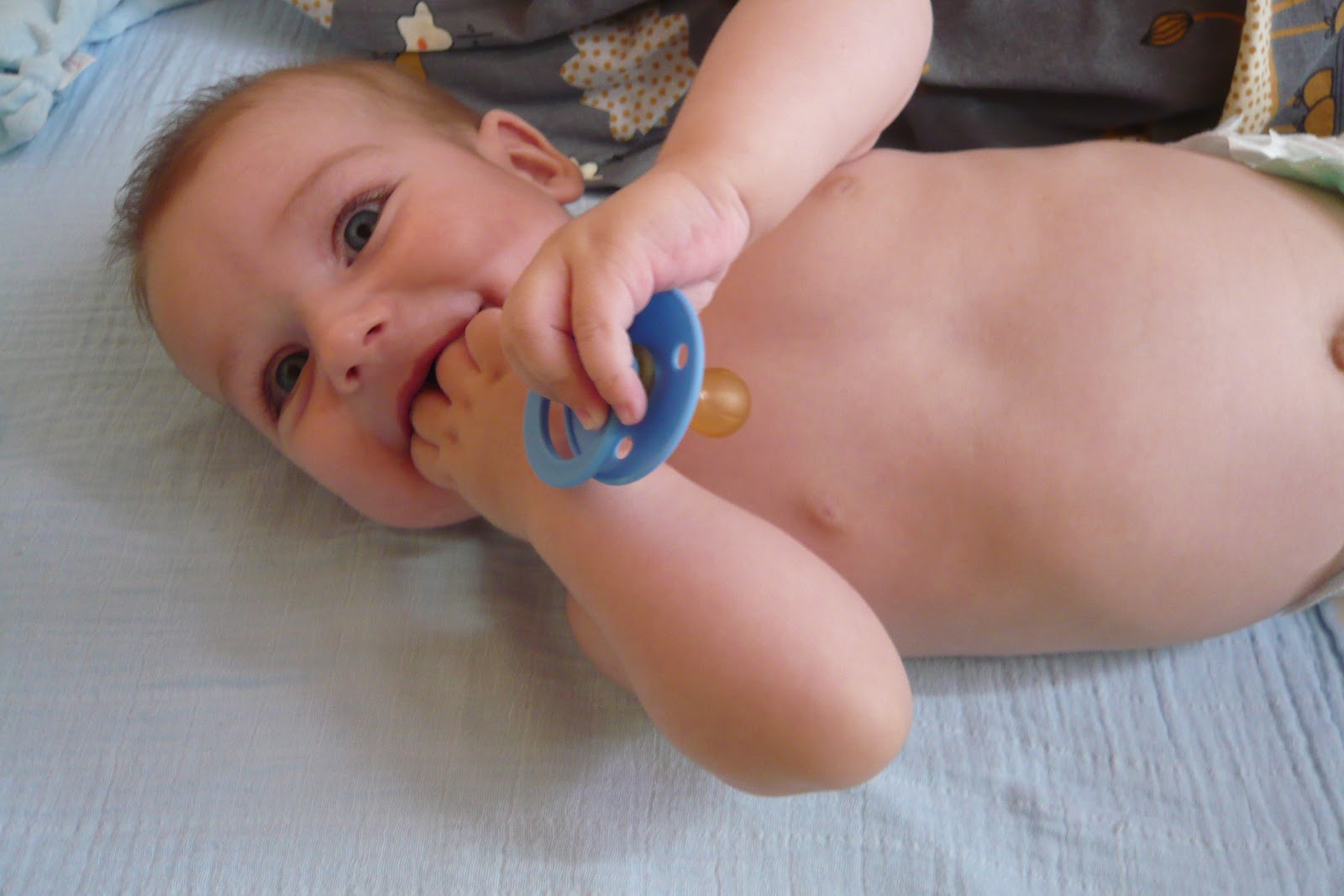 http://2.bp.blogspot.com/-4arJgsUYVIU/T3dqD-bC41I/AAAAAAAACU4/bE86K5HiXB4/s1600/P1100606.JPG