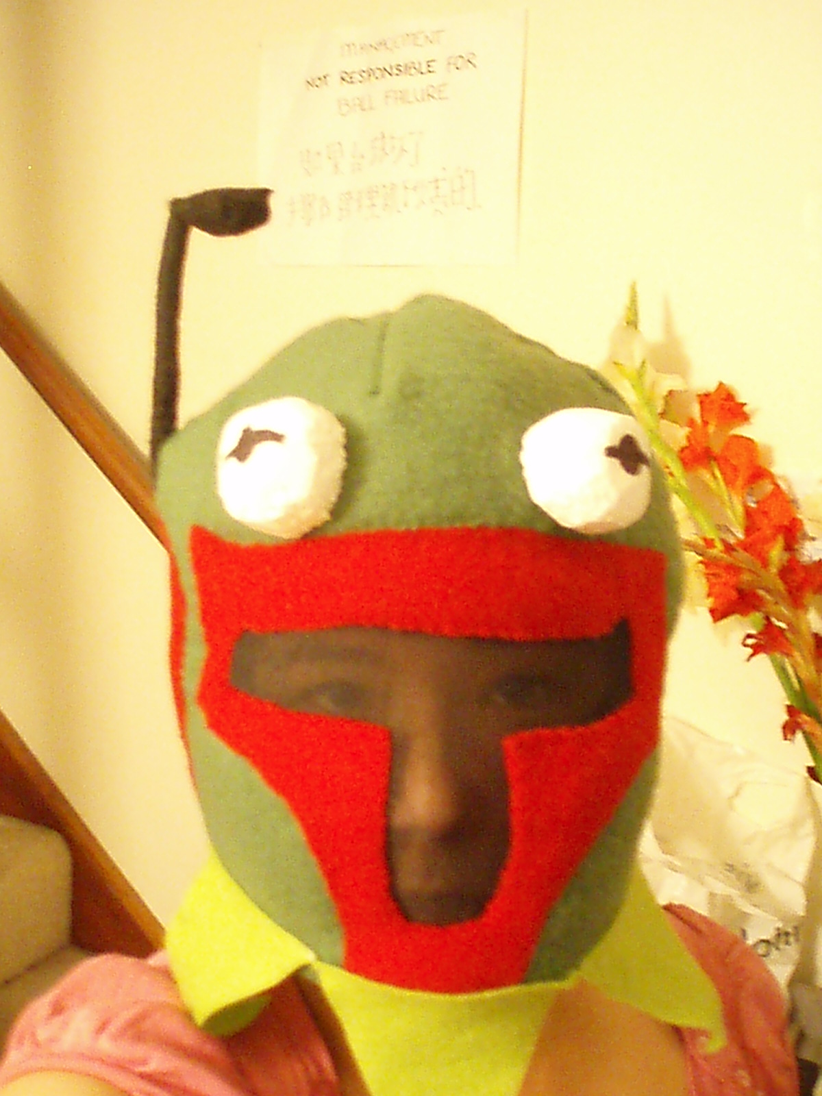 Whimsical Frippery Boba Felt and Kermit the Fett