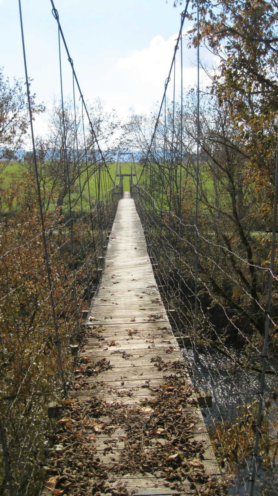 Lee County Virginia Stop 30 Swinging Bridge 666 on the Powell River
