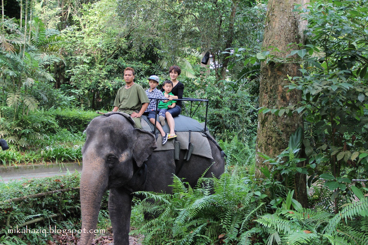 mikahaziq Singapore Zoo Animals Loads of fun for kids