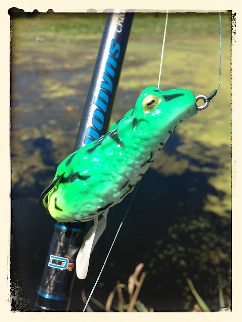 Bass Junkies Frog Pond: Bass Pro Shops XPS Frog Review