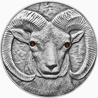 Mongolia 500 Togrog silver coin ARGALI mountain sheep