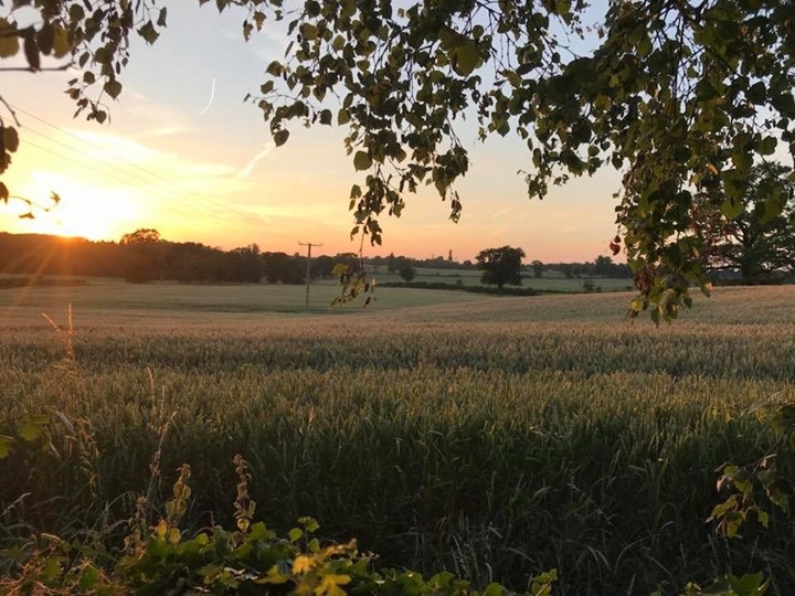 Damson Cottage View