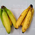 After Reading This, You’ll Never Look at a Banana in the Same Way Again