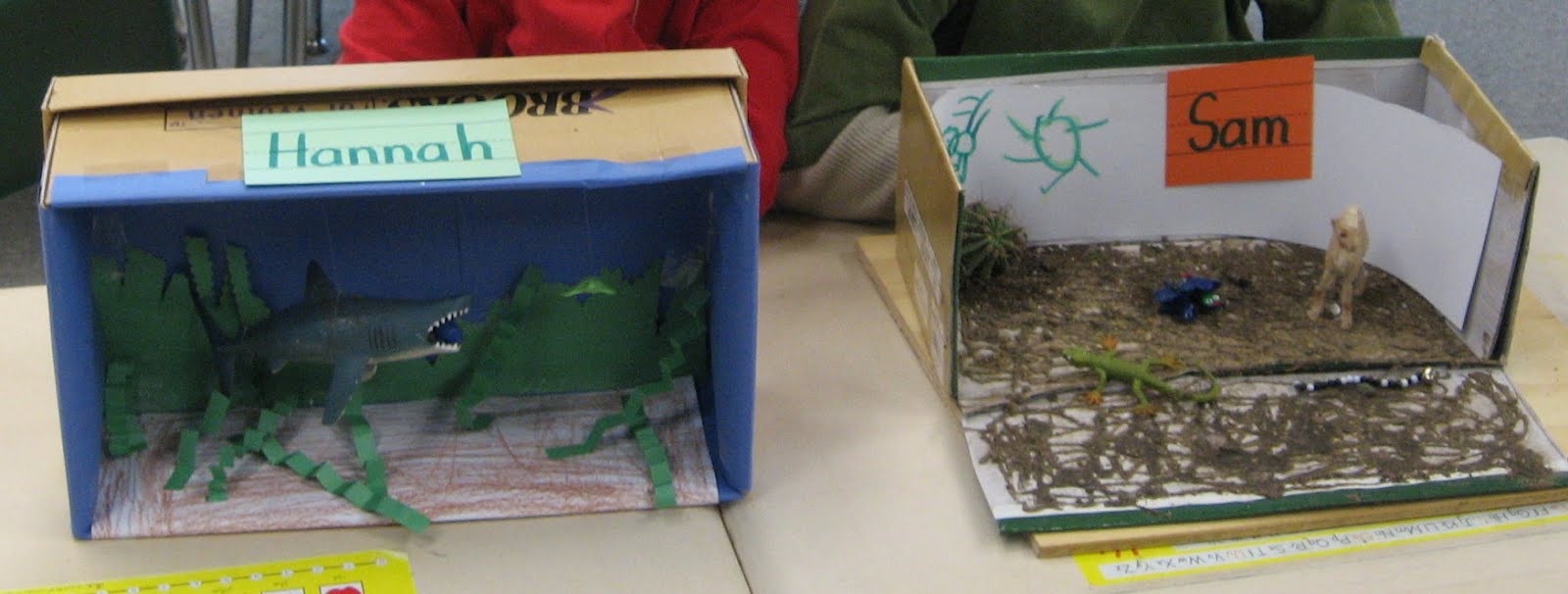 First Grade Fun: Habitat Dioramas