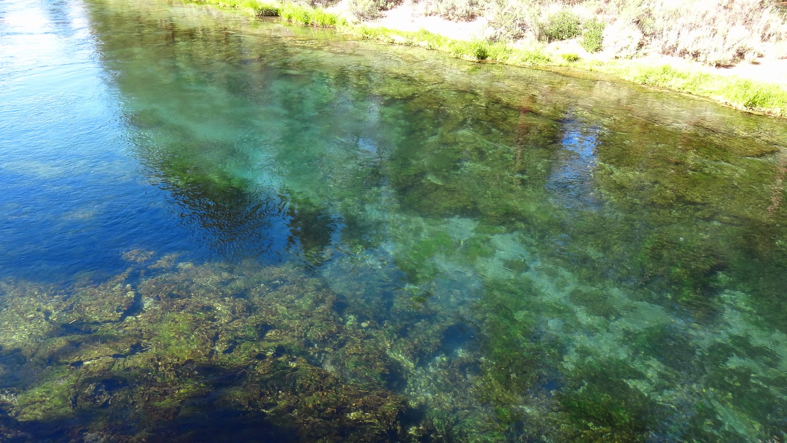 The Fly Syndicate Oregon Spring Creek Fishing