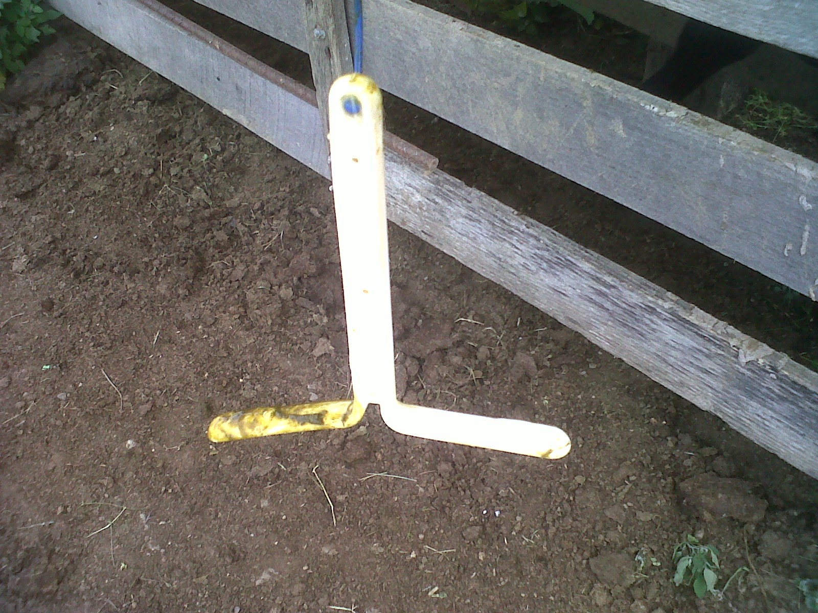 for the love of beef The start of 2012 Breeding Season