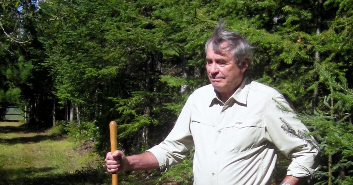 AIA Minnesota Guy Gibbon on “How Should Archaeologists Study the