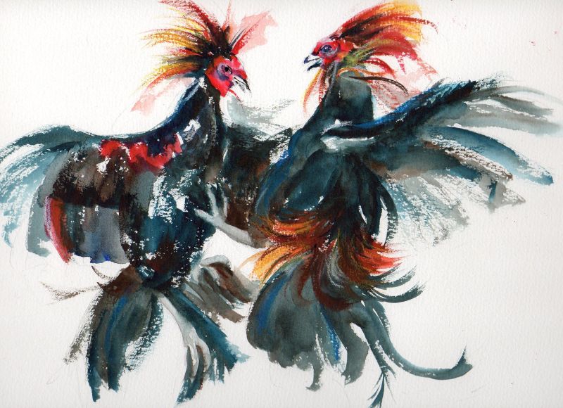 artbycrain hostile takeover fighting roosters