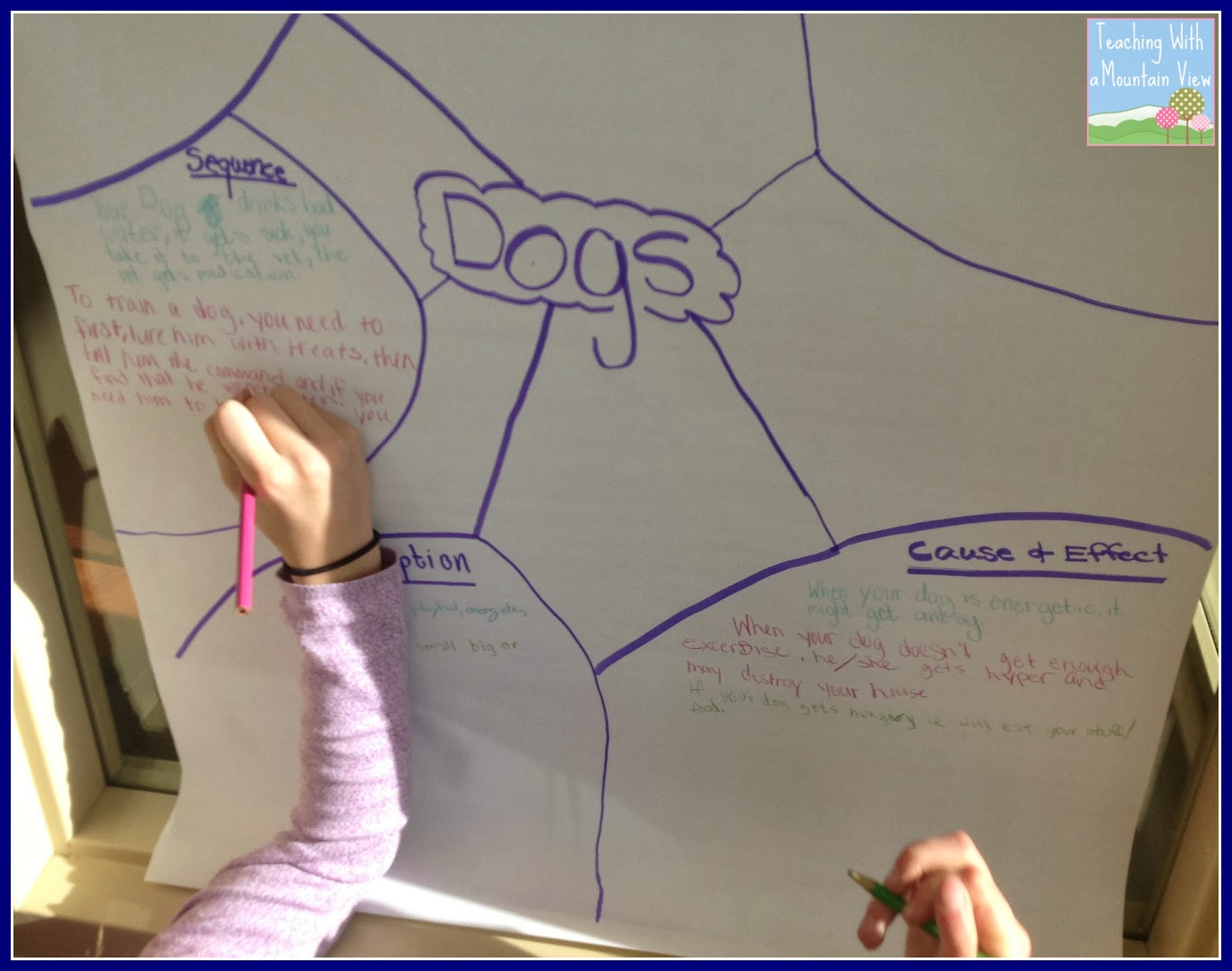worksheet Text Structure Worksheets 5th Grade teaching with a mountain view informational text structures the next day students created foldable from im lovin lits interactive notebook which i love and believ