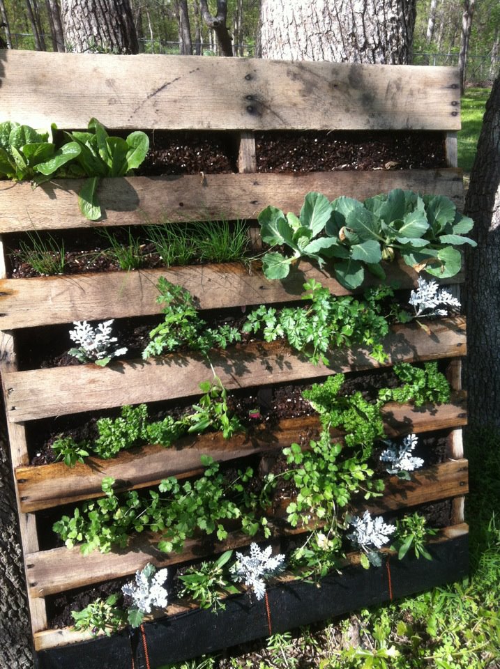 The Extreme Shopper Wooden crate planter