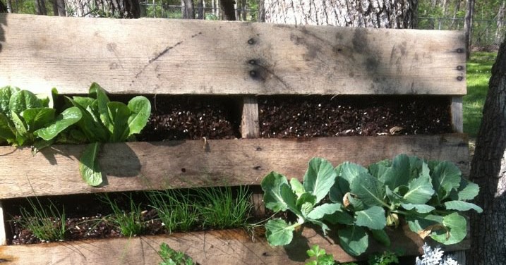 The Extreme Shopper: Wooden crate planter