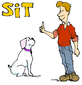 Pilt