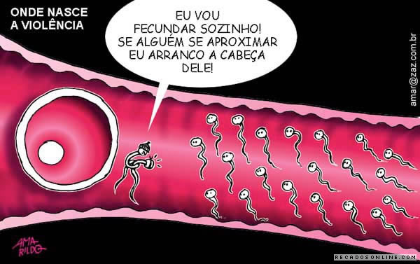 IMAGENS HUMOR imagens humor:
